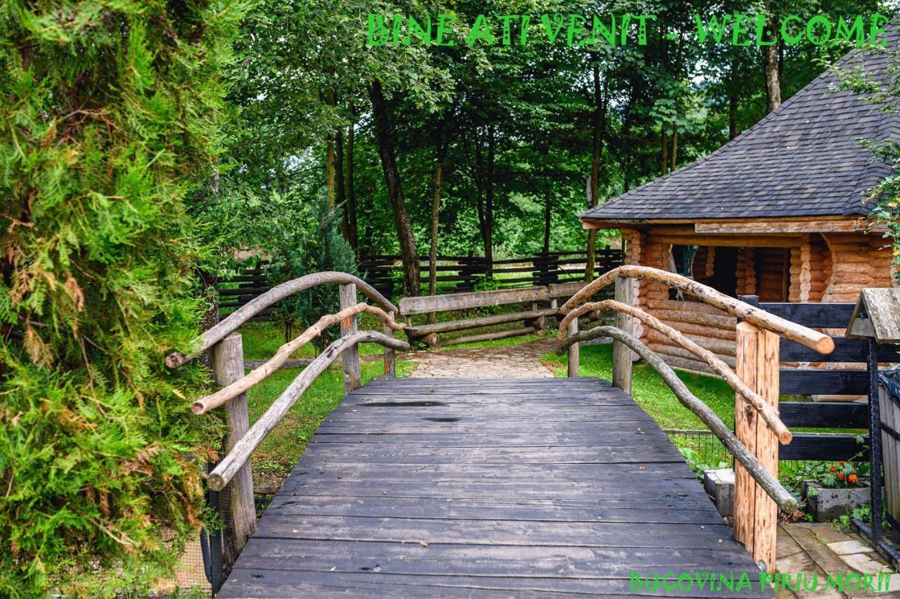 Pension Piriu' Morii Hura-Humora Exteriér fotografie