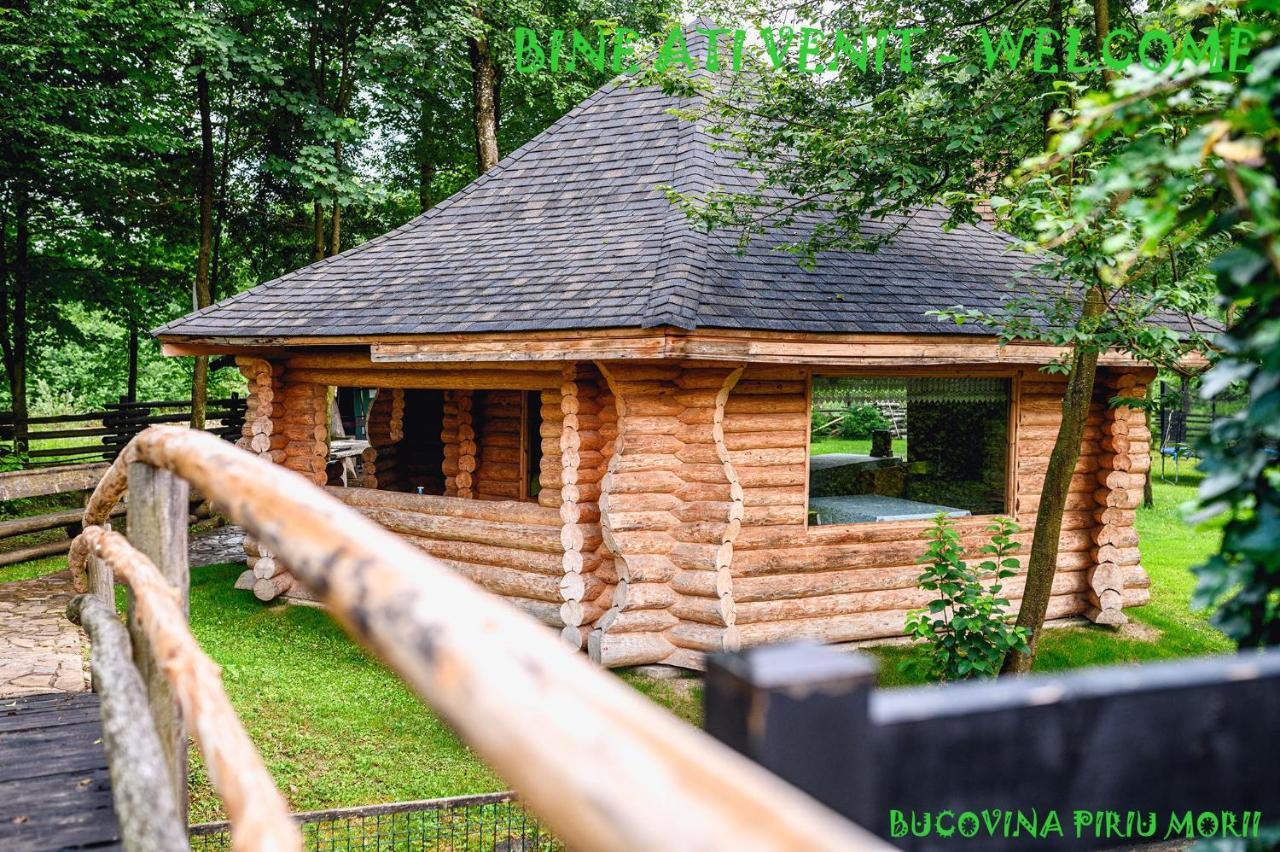 Pension Piriu' Morii Hura-Humora Exteriér fotografie