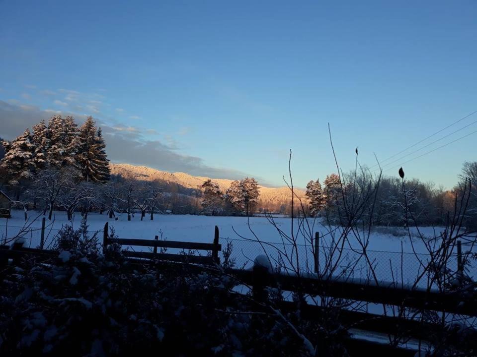 Pension Piriu' Morii Hura-Humora Exteriér fotografie